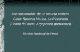 Uso sustentable de un recurso costero Caso: Reserva Marina, La Rinconada (Ostion del norte, (Ostion del norte, Argopecten purpuratus) Servicio Nacional.