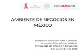 AMBIENTE DE NEGOCIOS EN MÉXICO Seminario de cooperación sobre el ambiente de negocios de los países de la Alianza Embajada de China en Colombia 4 de noviembre.