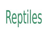 Los reptiles son animales vertebrados. Se estima que hace unos 310 millones de años descendieron de los anfibios, pero no de los anfibios modernos de.