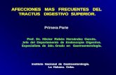 AFECCIONES MAS FRECUENTES DEL TRACTUS DIGESTIVO SUPERIOR. Prof. Dr. Héctor Rubén Hernández Garcés. Jefe del Departamento de Endoscopia Digestiva. Especialista.