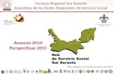 Red de Servicio Social Sur Sureste Consejo Regional Sur Sureste Asamblea de las Redes Regionales de Servicio Social Coordinación Avances 2014 Perspectivas.