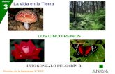 UNIDAD 3 La vida en la Tierra Ciencias de la Naturaleza 1.º ESO LOS CINCO REINOS LUIS GONZALO PULGARÍN R.