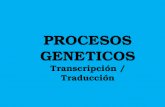 PROCESOS GENETICOS Transcripción / Traducción. DOGMA GENETICO Prof. Liliana Gómez Gómez.