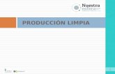 PRODUCCIÓN LIMPIA 1. 2  El negocio de prevenir la contaminación y producir limpio  Cómo lograr una Producción Limpia  Políticas e instrumentos en Chile.