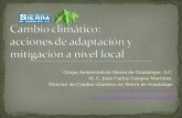 Grupo Ambientalista Sierra de Guadalupe; A.C. M. C. Juan Carlos Campos Martínez. Director de Cambio climático en Sierra de Guadalupe .