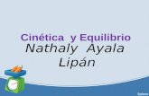 Nathaly Ayala Lipán Cinética y Equilibrio La velocidad de reacción es una magnitud positiva que expresa cómo cambia la concentración de un reactivo.