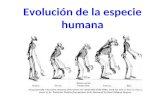 Evolución de la especie humana. La Era de los mamíferos Se calcula que hace 180 millones de años, cuando aún dominaban los reptiles el planeta, aparecieron.