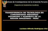 TRANSFERENCIA DE TECNOLOGIA EN COMUNIDADES INDIGENAS AGUARUNA Y HUAMBIZA DE LA REGION AMAZONAS - PERU Luciano Alfredo Rodríguez Chú Instituto de Investigaciones.
