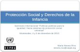 Seminario Internacional “Políticas públicas para la igualdad: Hacia sistemas de protección social universal” Montevideo, 4 y 5 de diciembre de 2013 Protección.