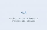 HLA María Constanza Gómez G Inmunología Clínica. ANTECEDENTES Descubrimiento de grupos sanguíneos Rechazo de injertos en ratones, que llevó al descubrimiento.