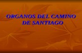 ORGANOS DEL CAMINO DE SANTIAGO. Belorado (Burgos) Convento de Santa Clara Convento de Santa Clara Autor: Francisco Antonio de San Juan 1785 Autor: Francisco.