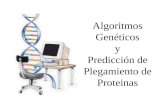 Algoritmos Genéticos y Predicción de Plegamiento de Proteinas.