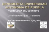 TECNOLOGÍA DEL CONCRETO Gutiérrez Domínguez J. Florentino Tamaño Máximo de los Agregados.