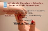 Instituto de Ciencias y Estudios Superiores de Tamaulipas Asignatura: Sensopercepción y estados de la conciencia. Profesor: L.P. Jorge Vicente Hidalgo.