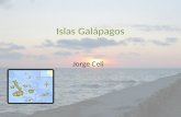 Islas Galápagos Jorge Celi. Concepto Las islas Galápagos también llamado archipiélago de Galápagos constituyen un archipiélago del océano Pacífico ubicado.