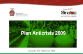 M a r z o 2 0 0 9 Culiacán, Sin; Febrero de 2009 Plan Anticrisis 2009.