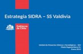 Estrategia SIDRA – SS Valdivia Unidad de Proyectos Clínicos y Tecnológicos – SSV María Eugenia Barra M. Enero 2015.