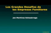 © Jon Martínez -ESE Jon Martínez Echezárraga Los Grandes Desafíos de las Empresas Familiares Los Grandes Desafíos de las Empresas Familiares.