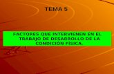 TEMA 5 FACTORES QUE INTERVIENEN EN EL TRABAJO DE DESARROLLO DE LA CONDICIÓN FÍSICA.