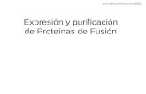 Expresión y purificación de Proteínas de Fusión Genética Molecular 2011.