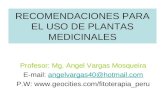 RECOMENDACIONES PARA EL USO DE PLANTAS MEDICINALES Profesor: Mg. Angel Vargas Mosqueira E-mail: angelvargas40@hotmail.comangelvargas40@hotmail.com P.W: