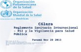 Cólera Reglamento Sanitario Internacional – RSI y la Vigilancia para Salud Pública Panamá Nov 28 2013 Mónica Guardo, MD, MSc CID Asesor Centro América.