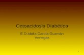 1 Cetoacidosis Diab©tica E.D.Idalia Carola Guzmn Venegas