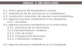 6.1. Visión general del Metabolismo Celular. 6.2. Importancia de las enzimas en el metabolismo. 6.3. Localización subcelular de algunas rutas metabólicas.