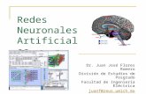 Redes Neuronales Artificiales Dr. Juan José Flores Romero División de Estudios de Posgrado Facultad de Ingeniería Eléctrica juanf@zeus.umich.mx juan