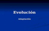 Evolución Adaptación. Selección natural ¿La única explicación para la adaptación? ¿La única explicación para la adaptación? Las adaptaciones parecen diseñadas.