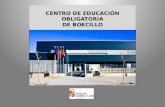 CENTRO DE EDUCACIÓN OBLIGATORIA DE BOECILLO. El Centro de Educación Obligatoria (CEO) de Boecillo se crea según ACUERDO 44/2011, de 2 de junio, de la.