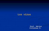 Los virus Prof. Héctor Cisternas R.. Un virus (de la palabra latina virus, toxina o veneno) es una entidad biológica capaz de autorreplicarse utilizando.