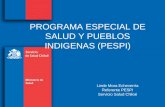PROGRAMA ESPECIAL DE SALUD Y PUEBLOS INDIGENAS (PESPI) Linde Mora Echeverría Referente PESPI Servicio Salud Chiloé.