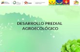 DESARROLLO PREDIAL AGROECOLÓGICO. ¿QUE ES EL DESARROLLO PREDIAL AGROECOLÓGICO?. Entendemos el Desarrollo Predial Agroecológico como un proceso de planificación,