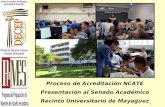 1 Proceso de Acreditación NCATE Presentación al Senado Académico Recinto Universitario de Mayagüez.