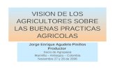 VISION DE LOS AGRICULTORES SOBRE LAS BUENAS PRACTICAS AGRICOLAS Jorge Enrique Agudelo Pinillos Productor Socio de Agropaisa Marinilla – Antioquia – Colombia.