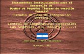 Instrumentos Institucionales para el Desarrollo de Dueños de Pequeñas Tierras de Vocación Forestal Estudio de Caso de Integración Vertical: Central de.