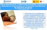 Salud Reproductiva y Maternidad Saludable: Legislación Nacional en conformidad con el Derecho Internacional de Derechos Humanos Santo Domingo, República.