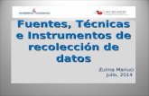 Fuentes, Técnicas e Instrumentos de recolección de datos Zulma Mariuci Julio, 2014.