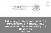 Estrategia Nacional para la Prevención y Control del Sobrepeso, la Obesidad y la Diabetes Abril, 2014.
