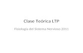 Clase Teórica LTP Fisiología del Sistema Nervioso 2011.