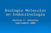 Biología Molecular en Endocrinología Gustavo F. Gonzales Septiembre 2005.