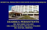 DIARREA PERSISTENTE DR. EDUARDO SAGARO DRA MARIA ELENA TRUJILLO TOLEDO DR. RAFAEL JIMENEZ HOSPITAL PEDIATRICO DOCENTE JUAN M MARQUEZ.