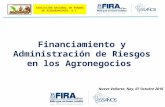 Financiamiento y Administración de Riesgos en los Agronegocios ASOCIACIÓN NACIONAL DE FONDOS DE ASEGURAMIENTO, A.C. Nuevo Vallarta, Nay, 07 Octubre 2010.