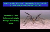 Fernando G. Costa Laboratorio Etología, Ecología & Evolución, IIBCE SELECCIÓN SEXUAL: HISTORIA, EVOLUCIÓN Y UNA MIRADA DE OCHO PATAS.