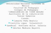 Universidad Nacional Autónoma de México Facultad de Pedagogía Colegio de Pedagogía ¨CONSECUENCIAS DE TIRAR BASURA” Auxiliares de la comunicación Tercer.