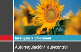 Inteligencia Emocional Autorregulaci³n/ autocontrol