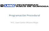 Programación Procedural M.C. Juan Carlos Olivares Rojas.