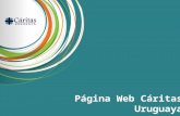 Página Web Cáritas Uruguaya. Página Web Beneficios que nos ha dado la Página Web Algunos… Darnos a conocer: + de 10 comunicaciones por día Aumento.