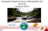 Campaña Orgullo Cuenca Hidrográfica del Rio Cali Avances 2013 foto.
